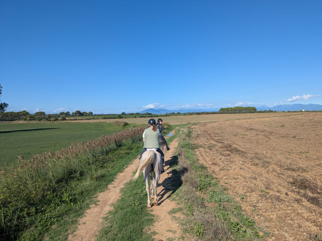 Cal Robusto Turisme Eqüestre-休拉纳必去景点