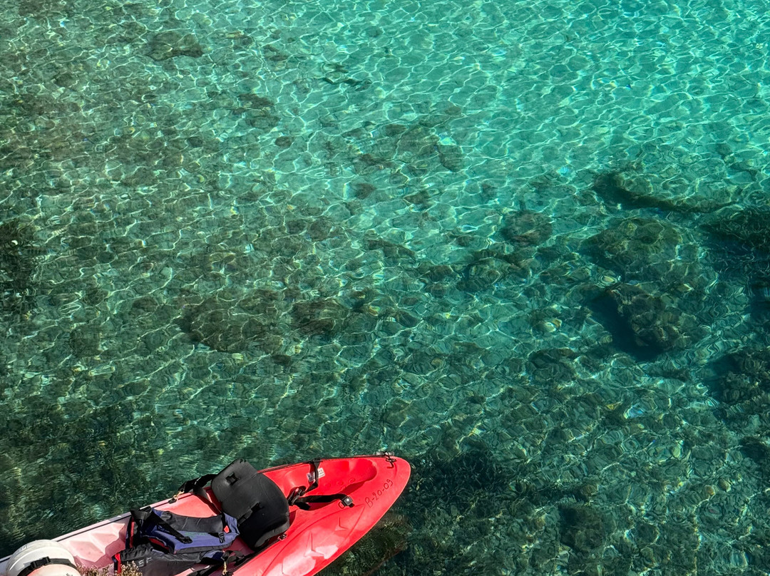 Paddle Aventure - Talmont canoë kayak paddle-Talmont Saint Hilaire必去景点