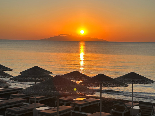 Seed & Rooted-斯塔滕岛必去景点