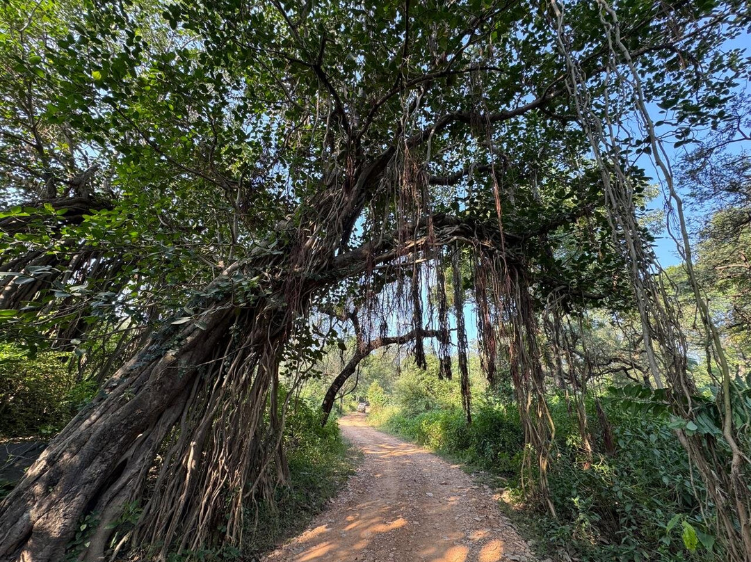 Nature Wanderers-Ramnagar必去景点