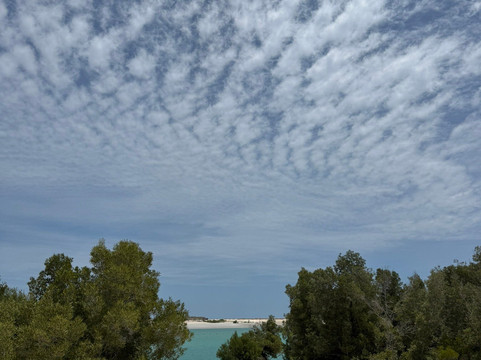 Willie Creek Pearl Farm-布鲁姆必去景点