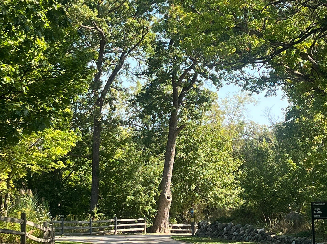 Hastings Lake Preserve-Lake Villa必去景点