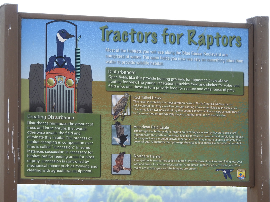 Tennessee National Wildlife Refuge-Springville必去景点