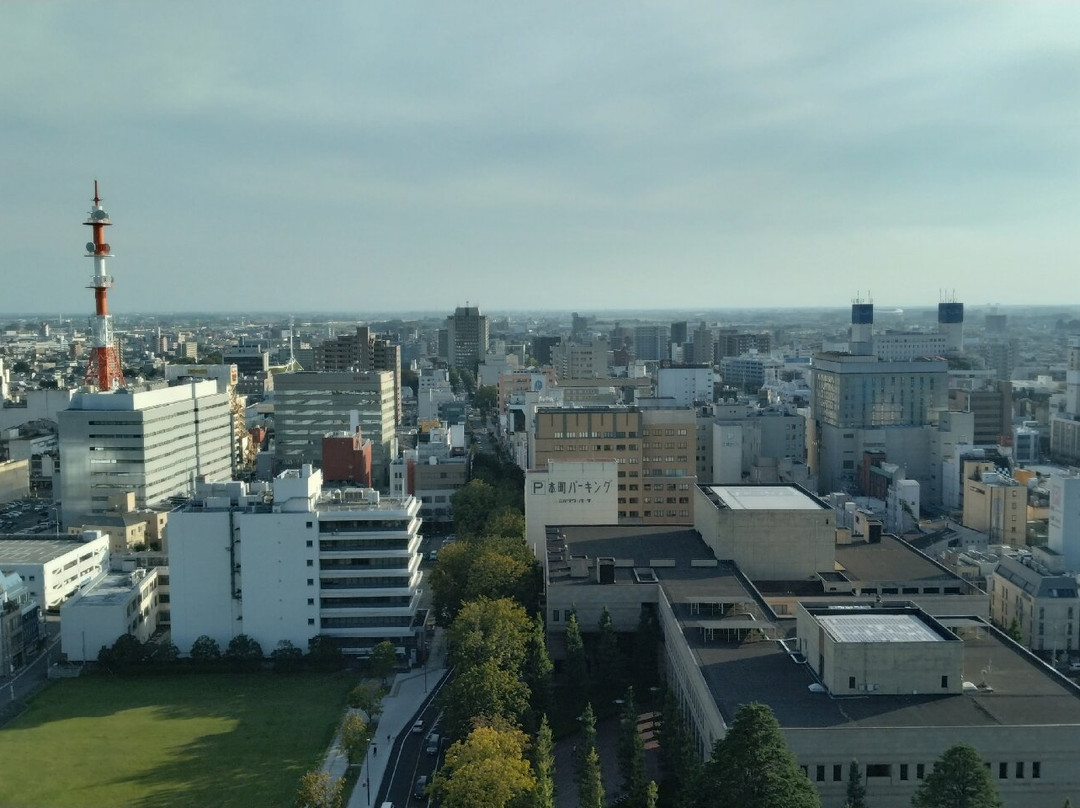 Tochigi Prefectural Office-宇都宫市必去景点