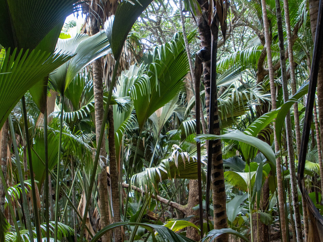 Dave's  Tour-普拉兰岛必去景点