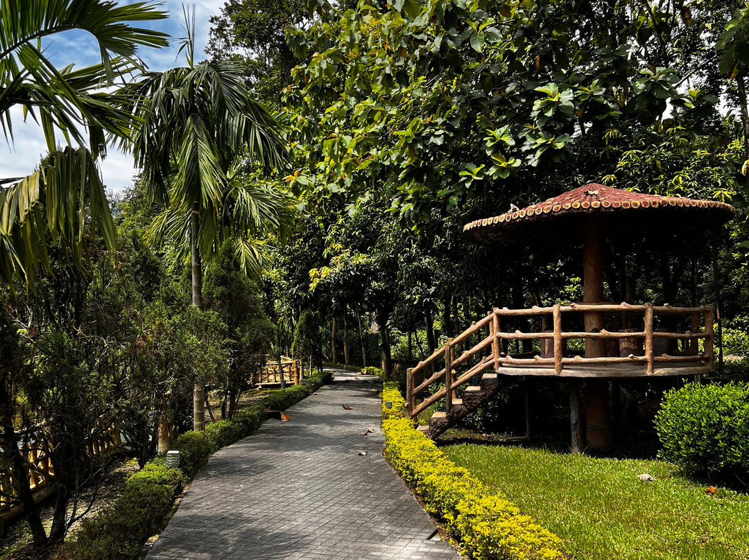 Hotel Dreamland Lataguri主图