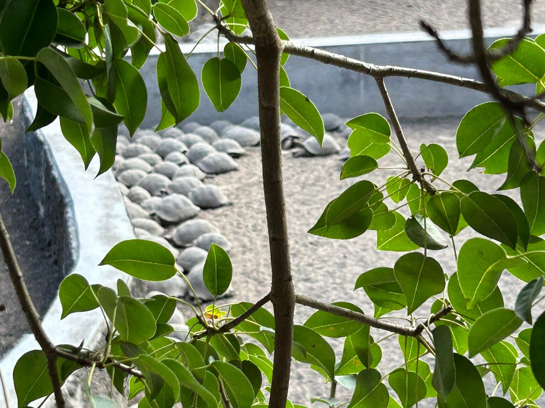 Centro de Crianza Arnaldo Tupiza-维里亚米尔港必去景点