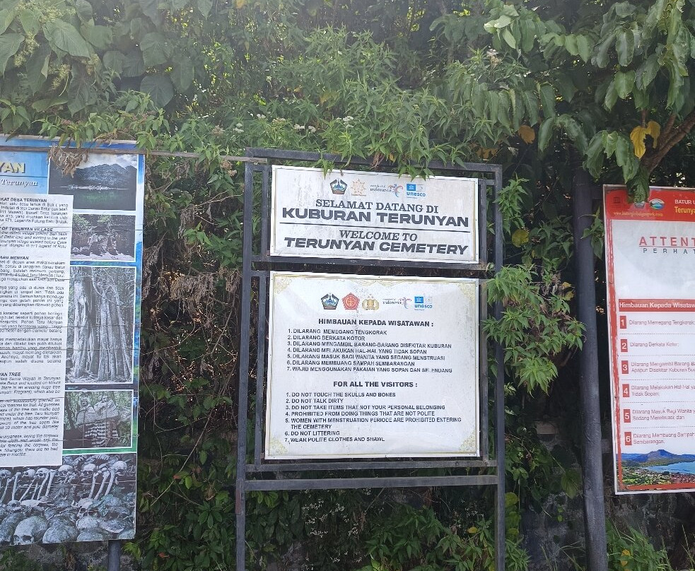 Trunyan Cemetery-金塔马尼必去景点