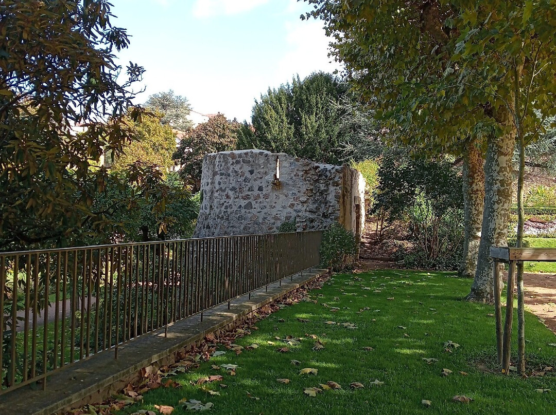 Parc Wilson-蒙吕松必去景点