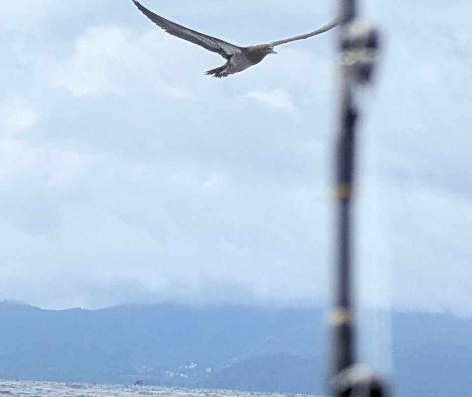 Tuna Fish Sportfishing-Playa Ocotal必去景点