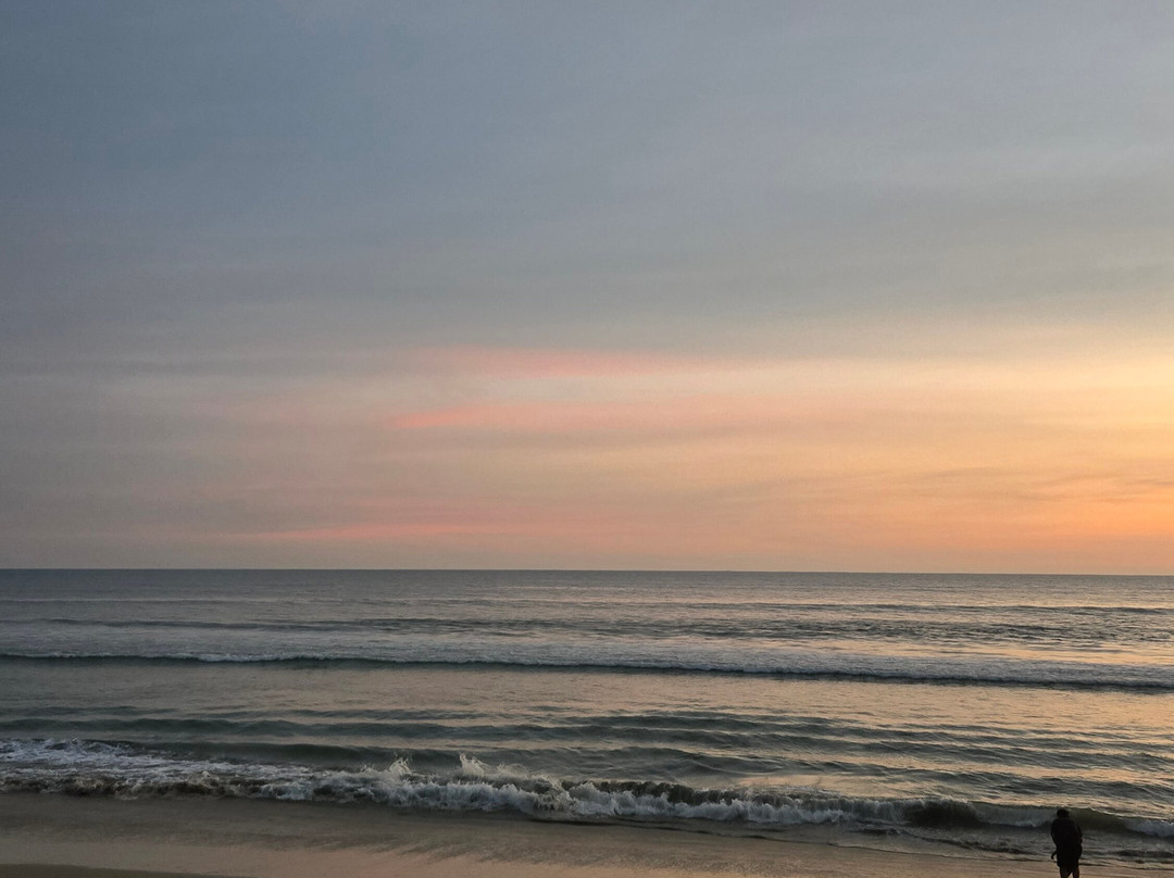 Orionis Kannur主图