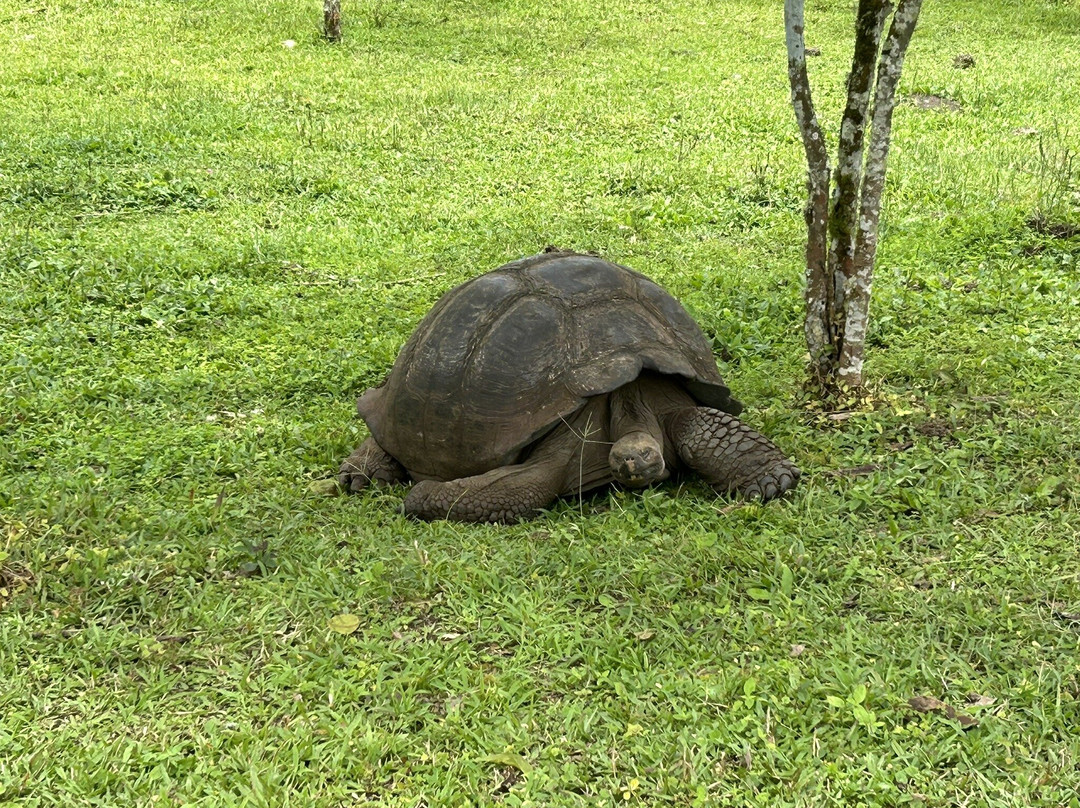 Reserva El Chato-阿约拉港必去景点