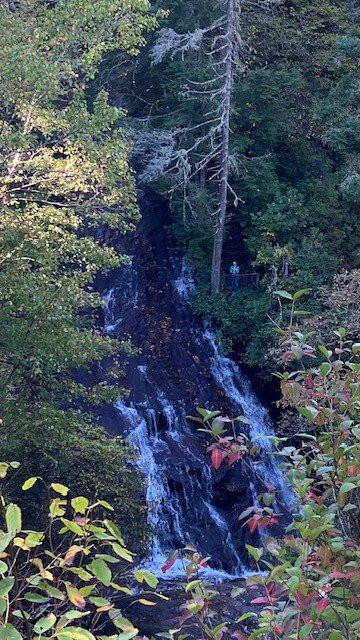 Miller's Land of Waterfall Tours-Rosman必去景点