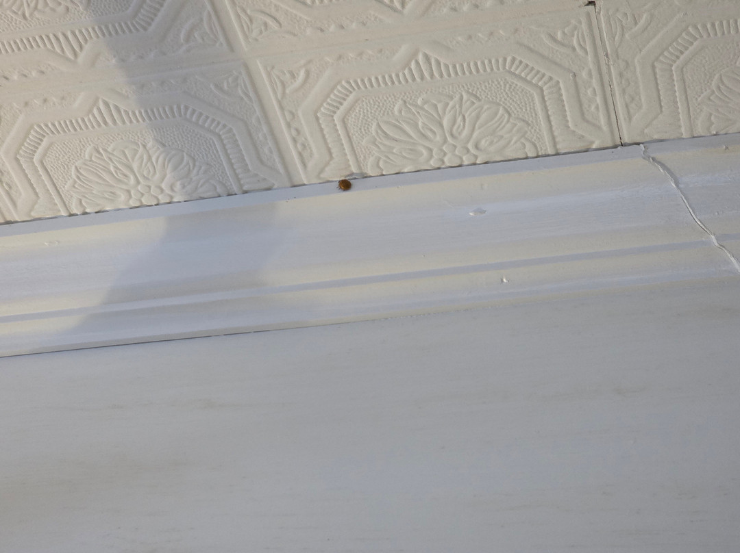 Eagle Mountain House & Golf Club主图