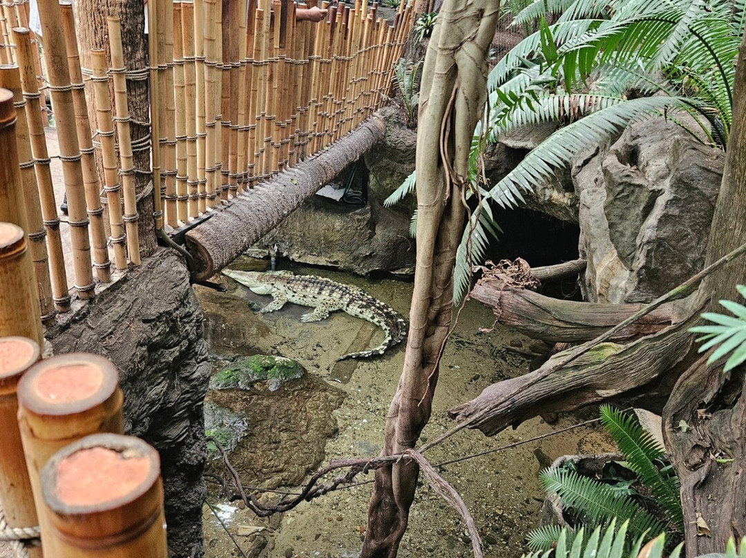达拉斯世界水族馆-达拉斯必去景点