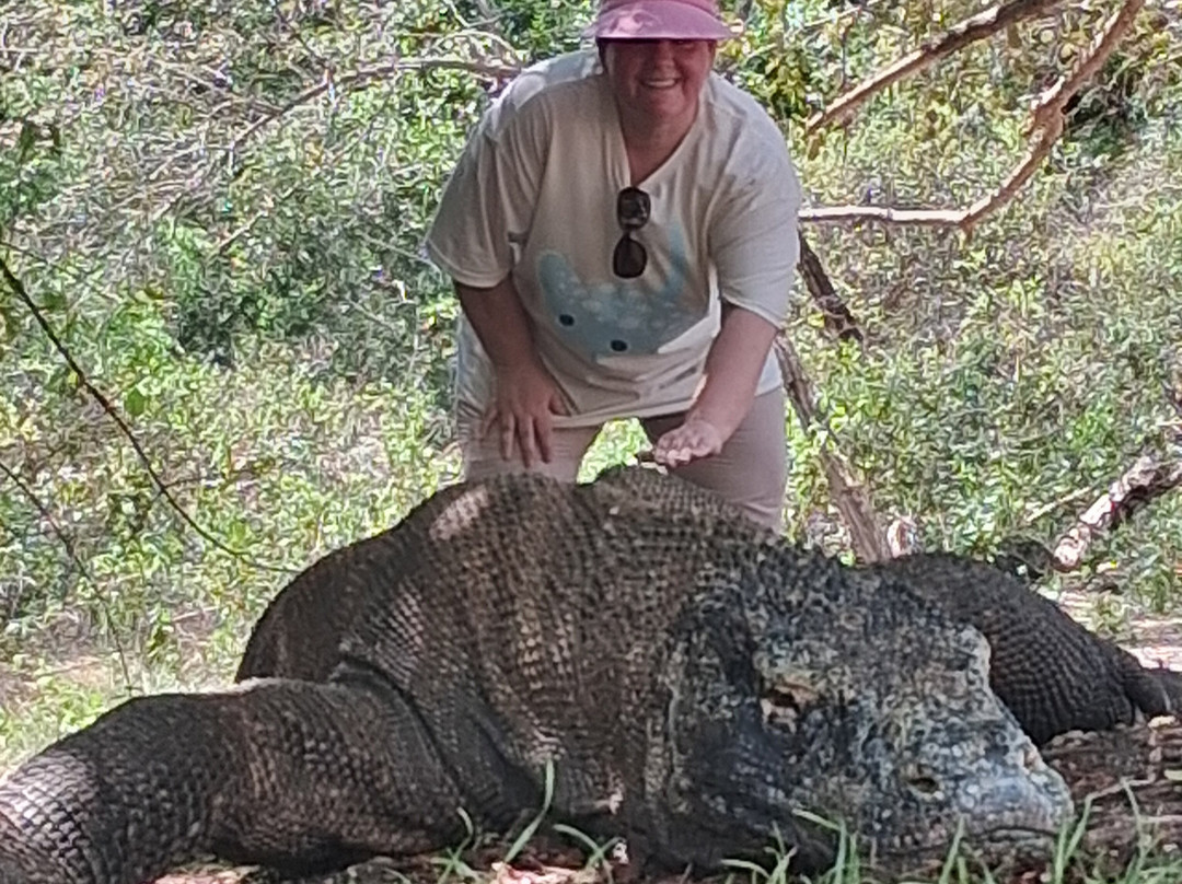 Komodo Dreamland Tour-Labuan Bajo必去景点