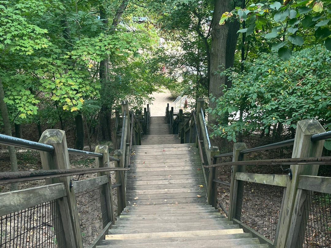 Mount Baldhead Park-索格塔克必去景点