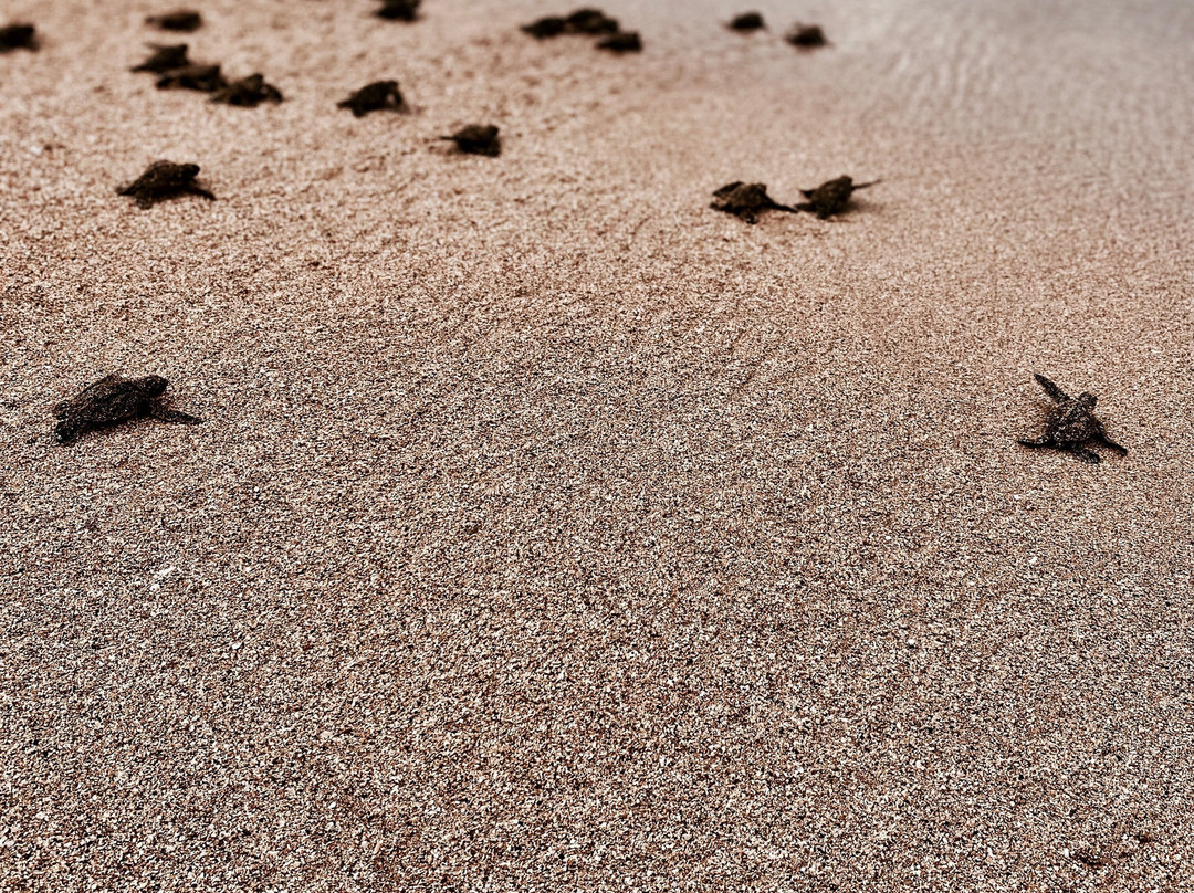Praia Jale-圣多美岛必去景点