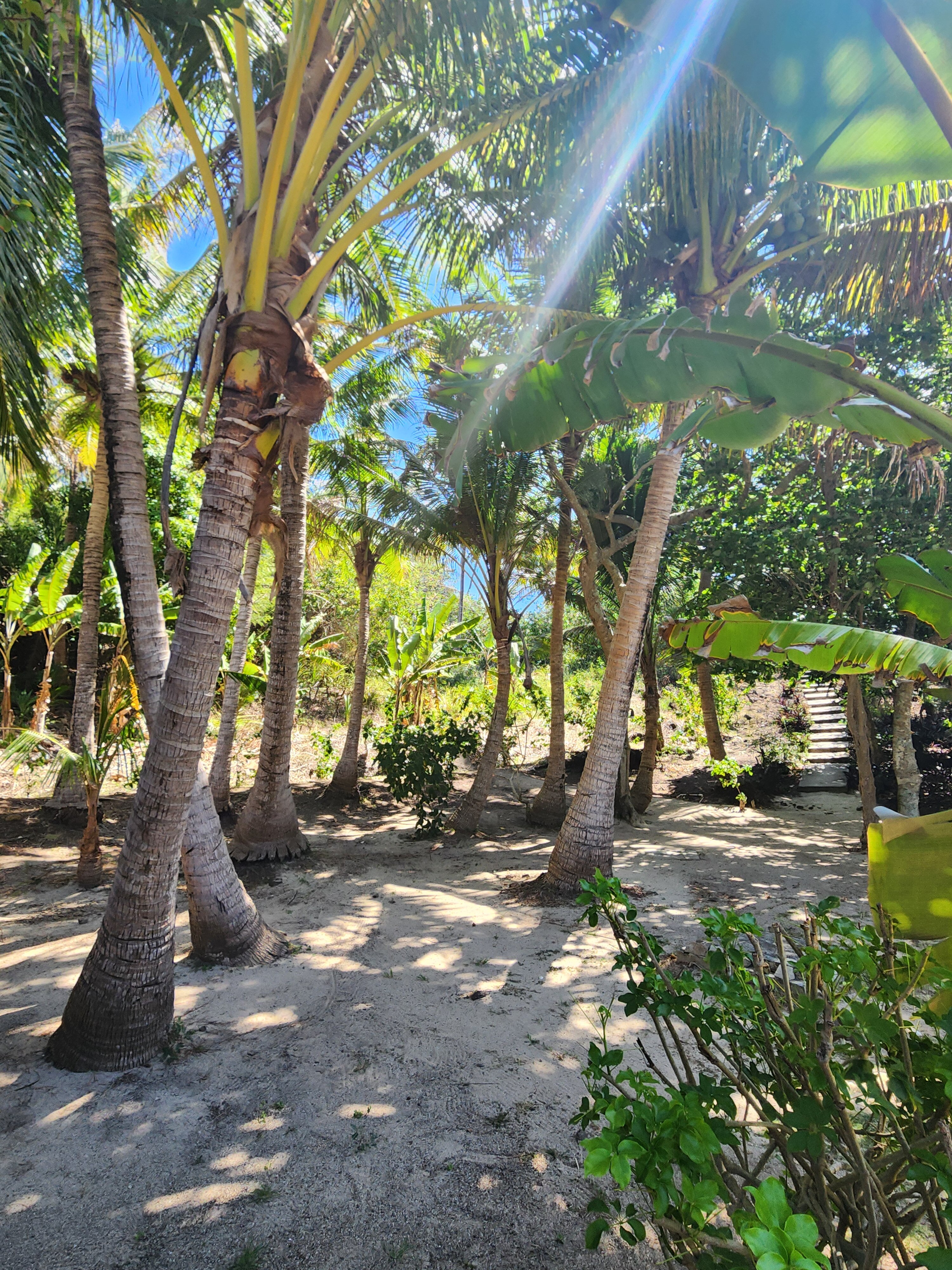 纳福图星级度假村-浴室