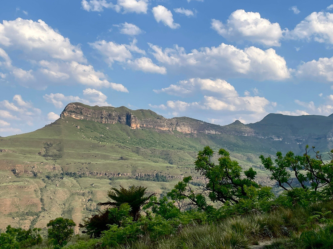 Thendele Hutted camp主图