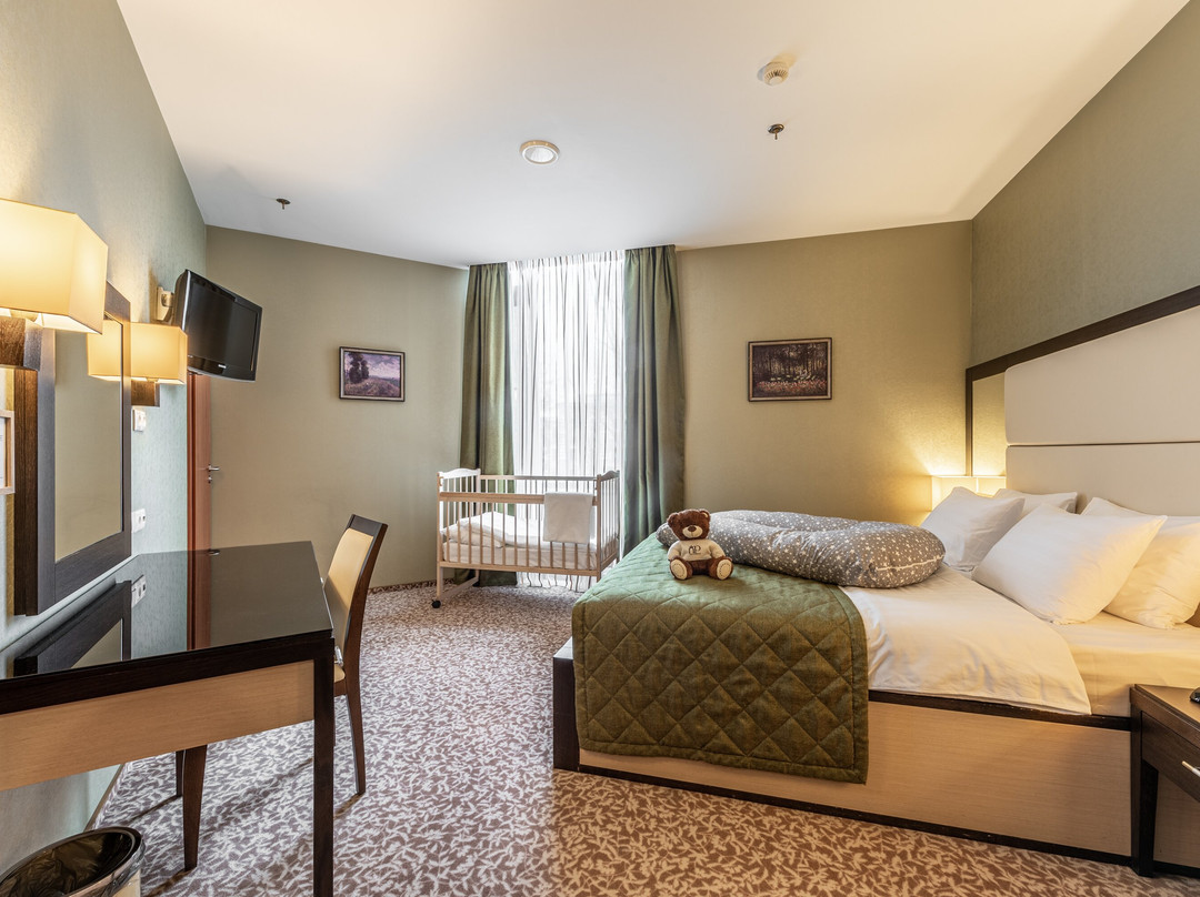 新彼得霍夫酒店主图