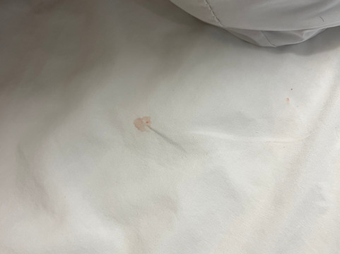 斯普林菲尔德温德姆麦客达套房酒店主图