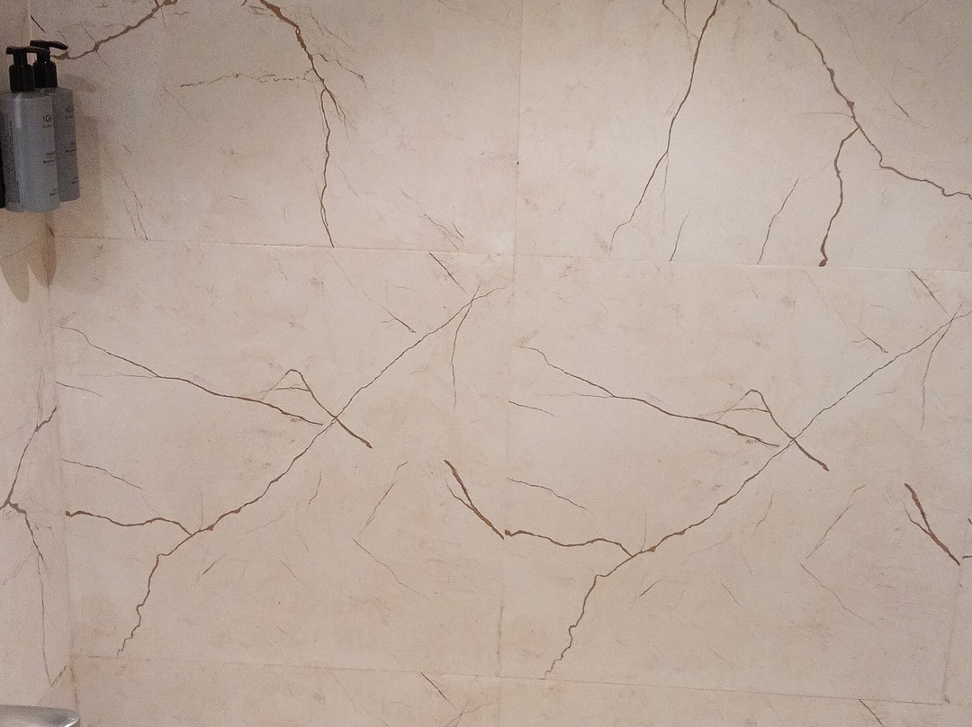 Hotel Prashant主图