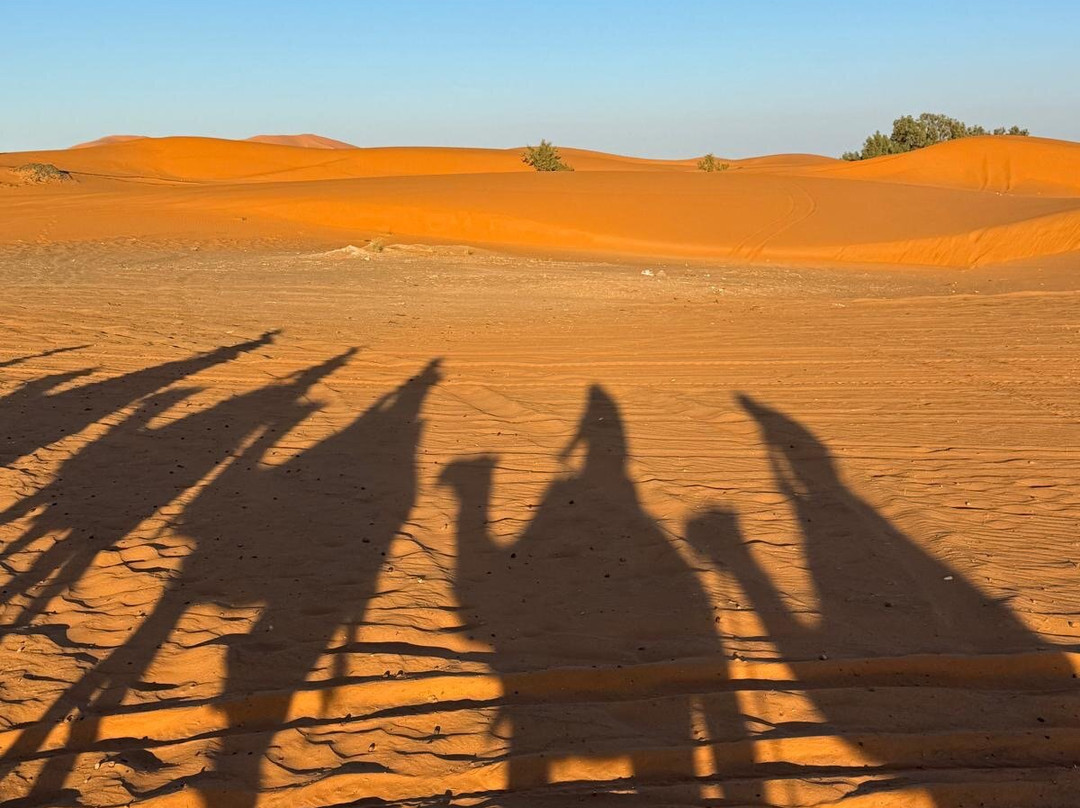 Viaja a Marruecos-丹吉尔必去景点