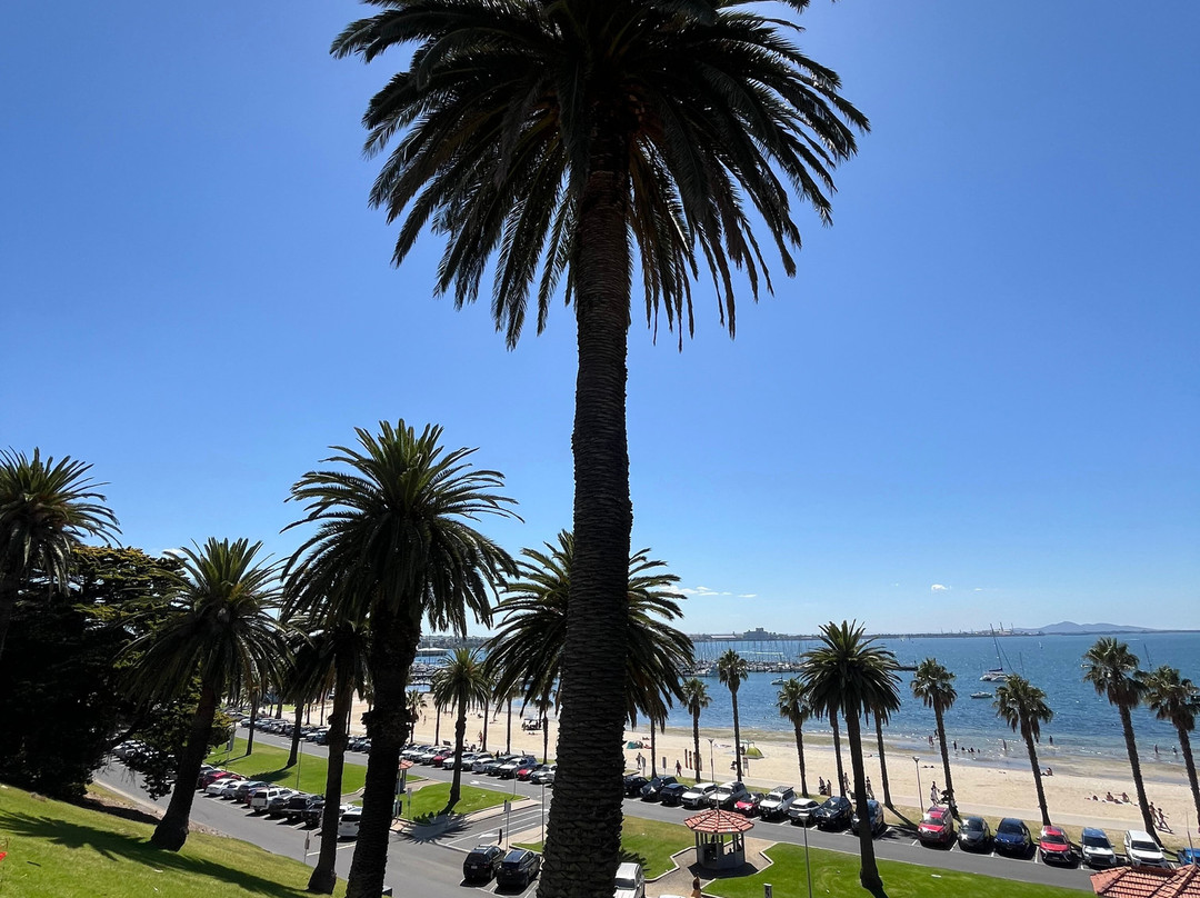 Steampacket Gardens-季隆必去景点