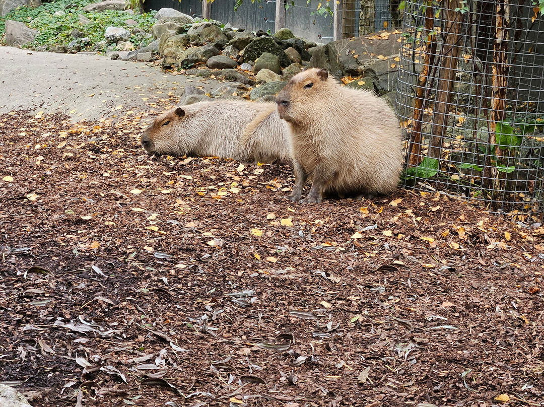 Boerderij Daalhoeve-马斯特里赫特必去景点