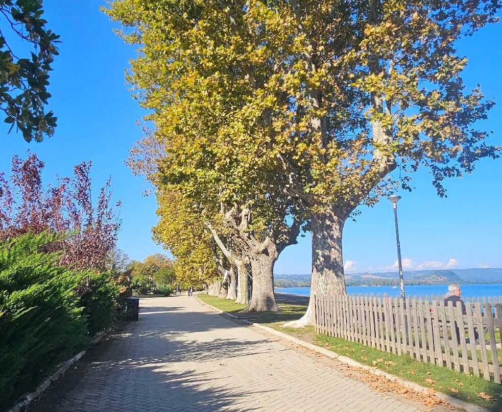 Lungolago di Capodimonte-Capodimonte必去景点