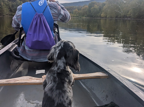 Front Royal Outdoors-弗兰特罗亚尔必去景点
