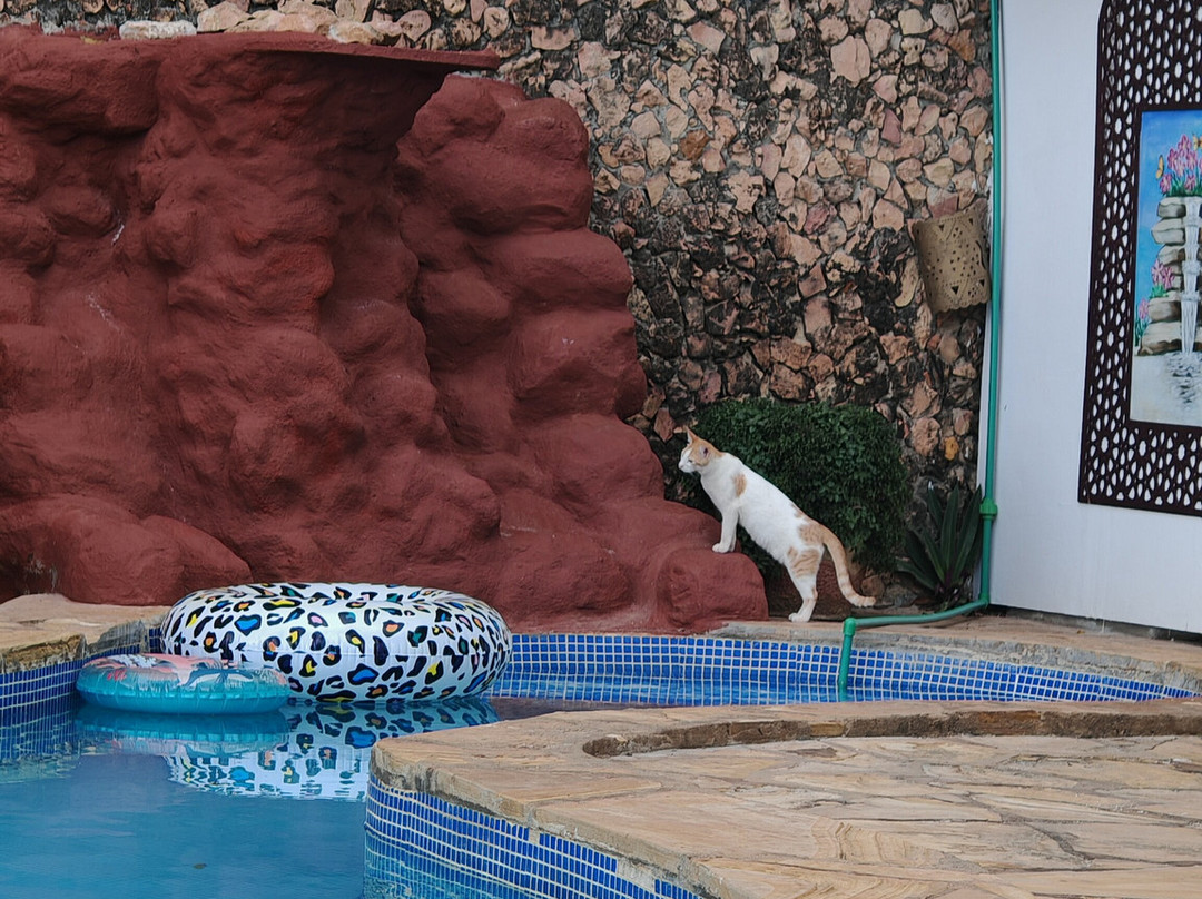 Zanzibar House主图