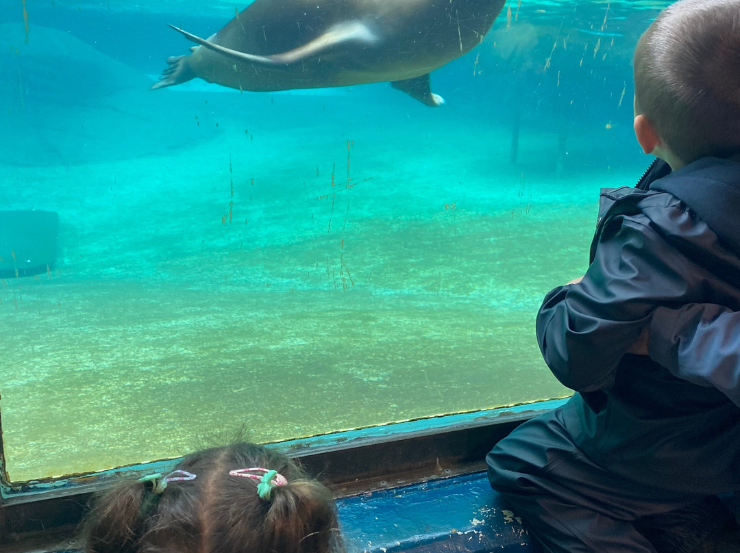 Aalborg Zoologiske Have-奥尔堡必去景点