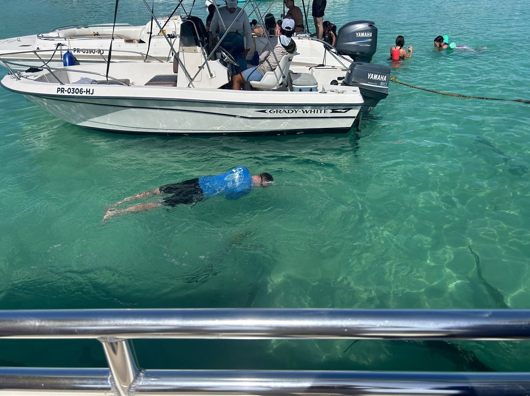 Parguera Water Sports-La Parguera必去景点