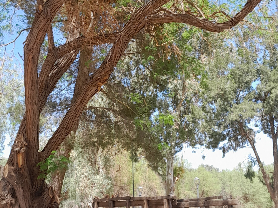 Balcòn del Pissis-Tinogasta必去景点