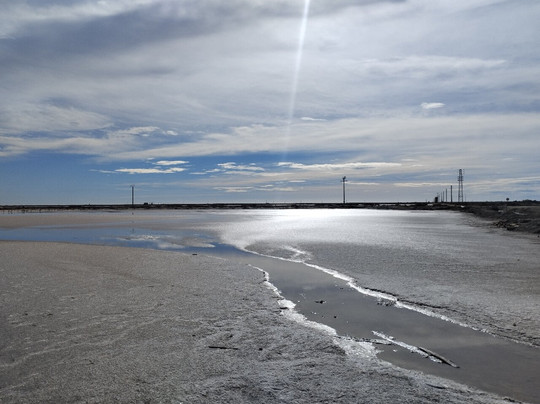 Visite Salin De Giraud