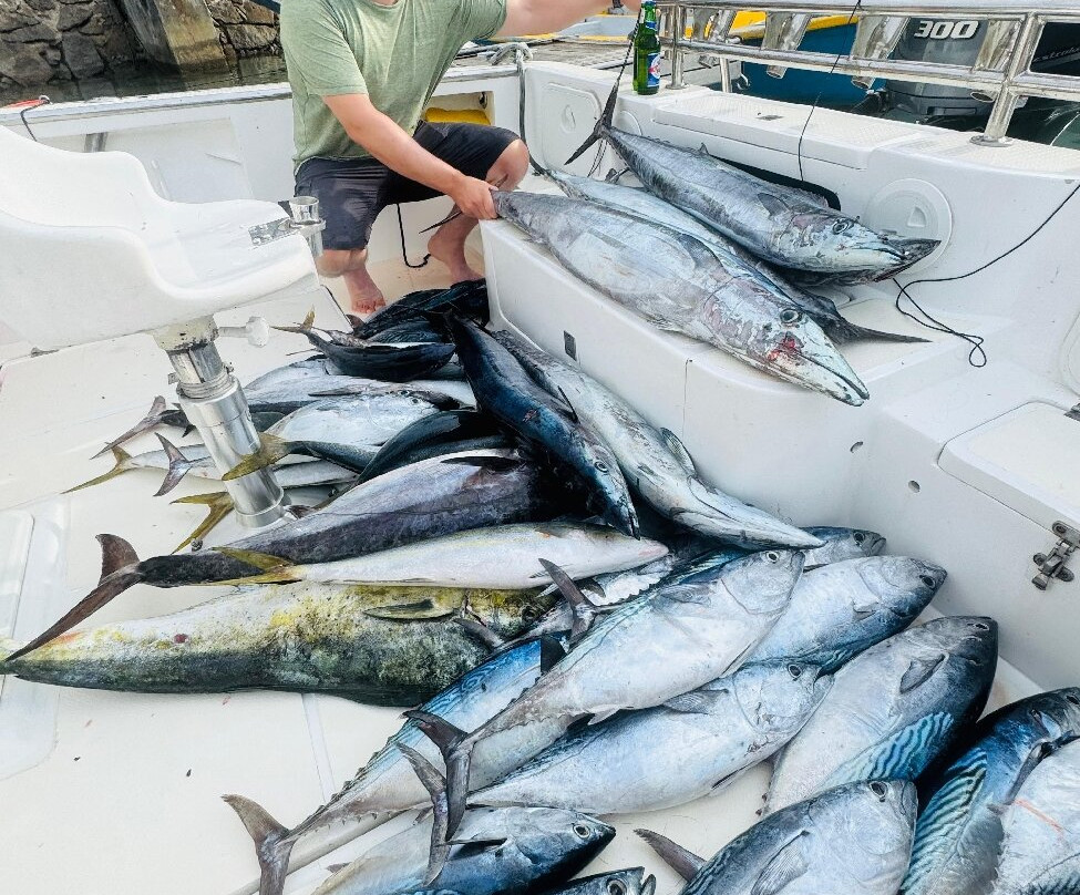 Billy's Charter-贝隆布尔必去景点