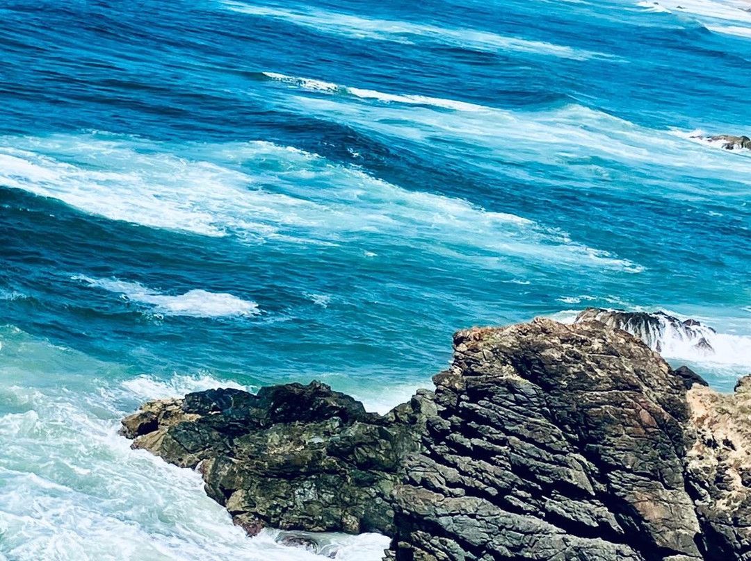 Lighthouse Beach-麦克夸利港必去景点