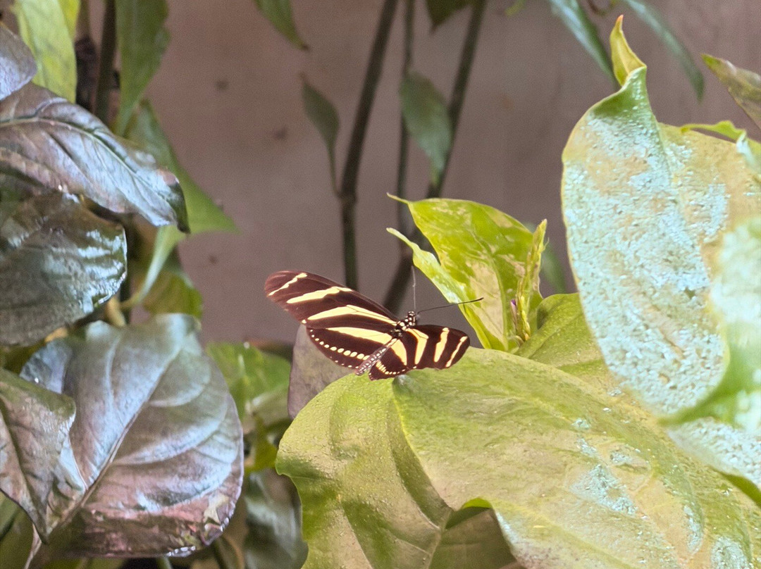 National Museum Of Costa Rica-圣何塞必去景点