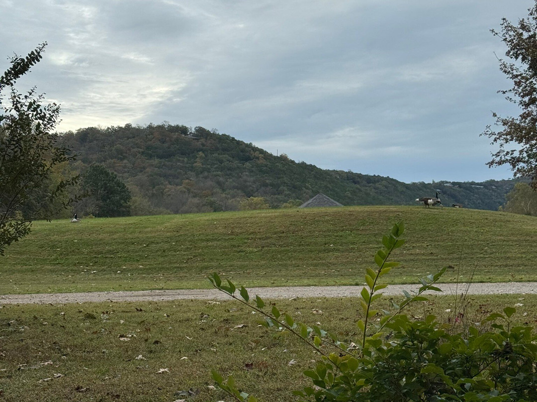 Blue Spring Heritage Center-尤里卡斯普林斯必去景点