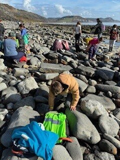 Lyme Regis Philpot Museum-莱姆里杰斯必去景点