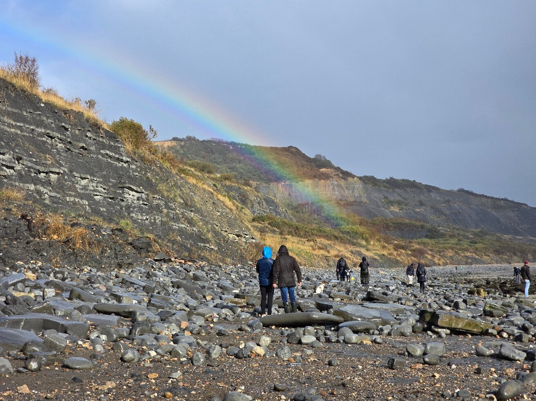 Lyme Regis Philpot Museum-莱姆里杰斯必去景点