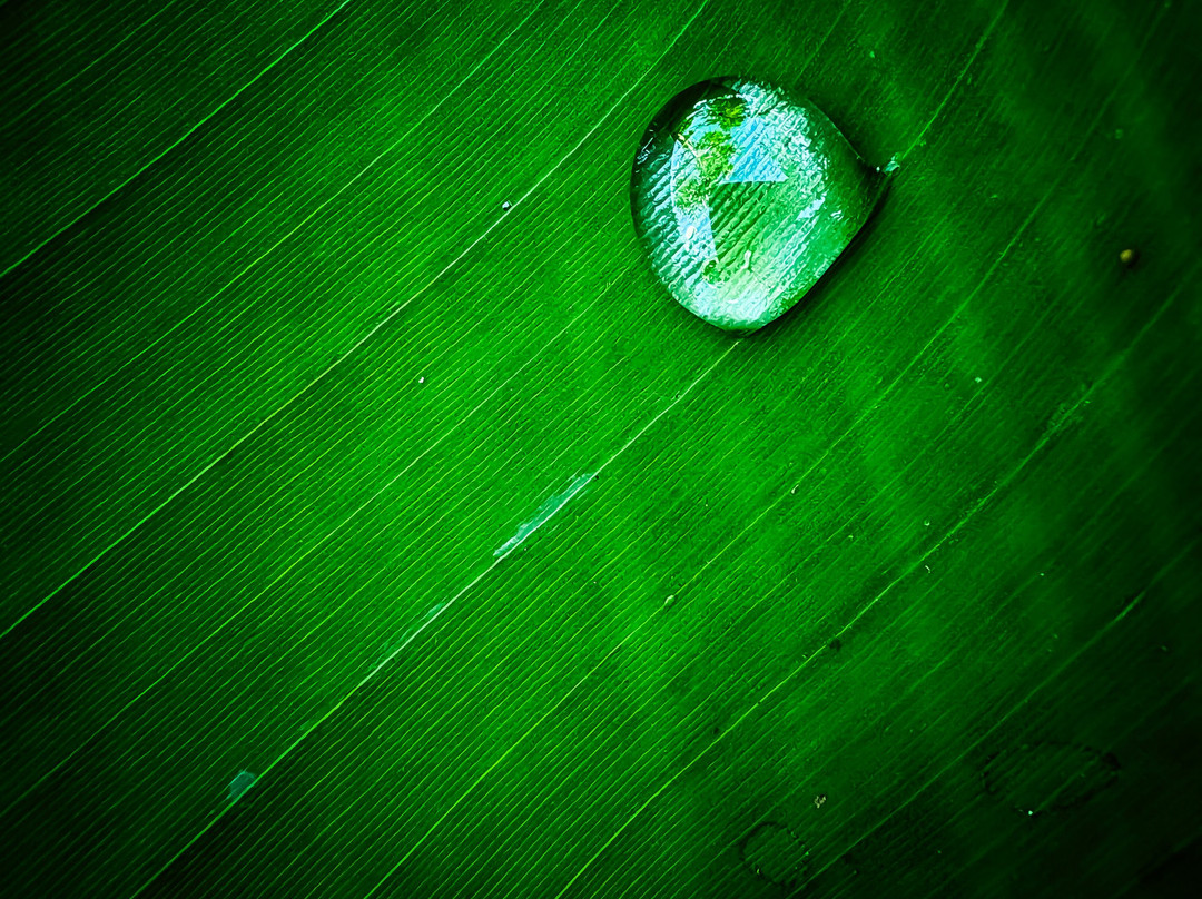 Bodega Finca Marañuela-La Orotava必去景点