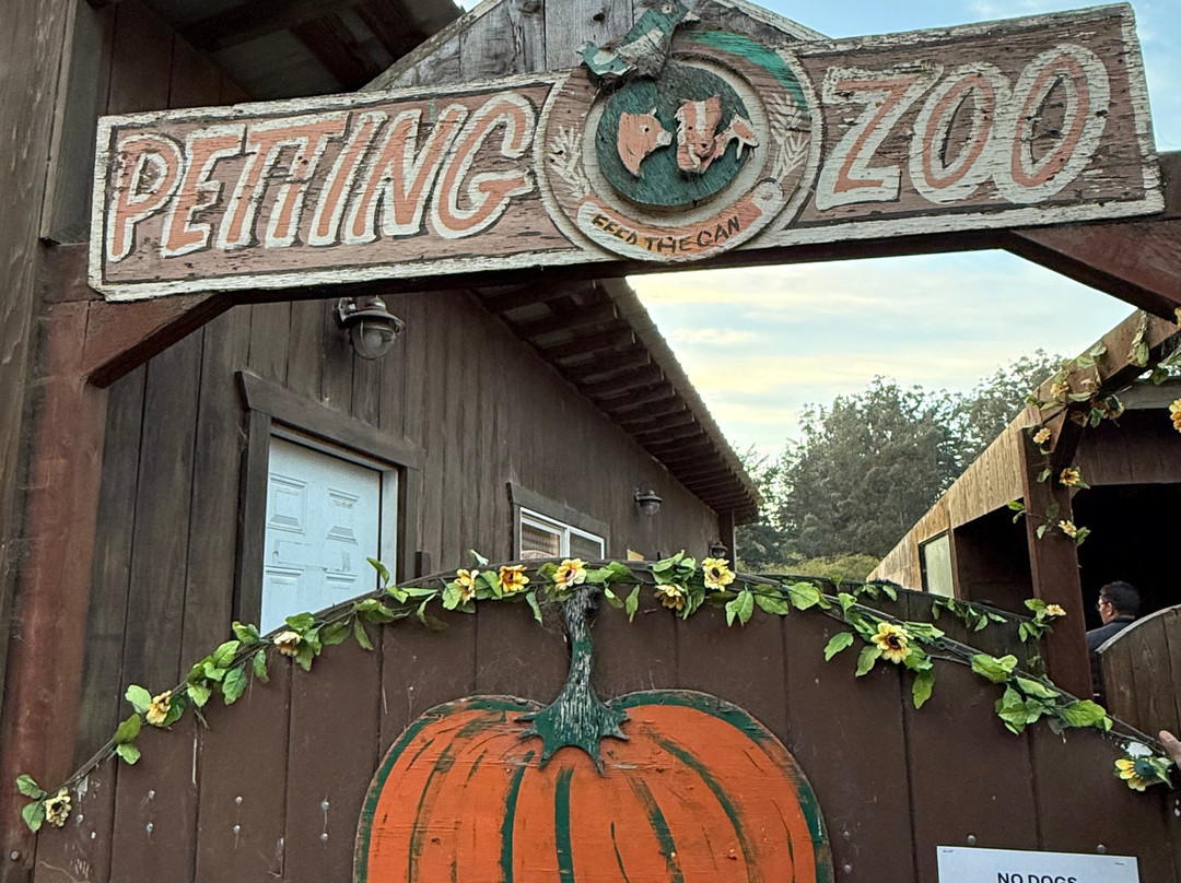 Arata Pumkin Farm-半月湾必去景点