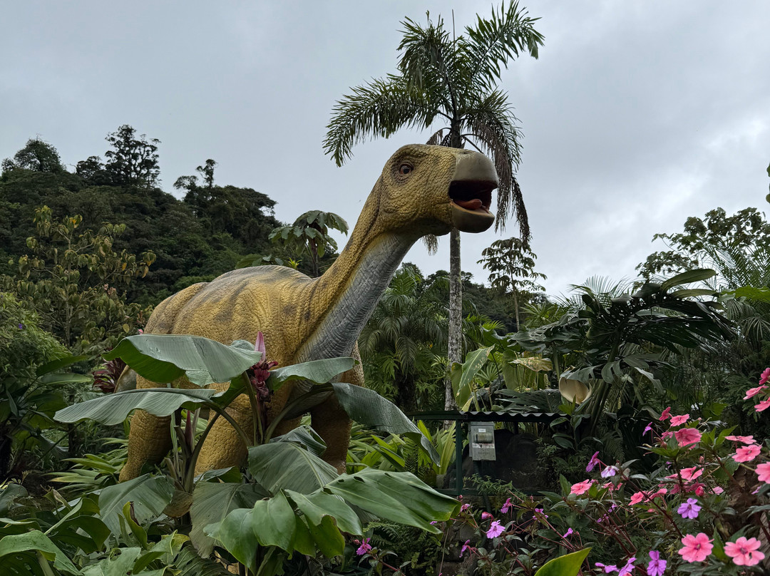 Catarata Río Agrio-Bajos del Toro必去景点