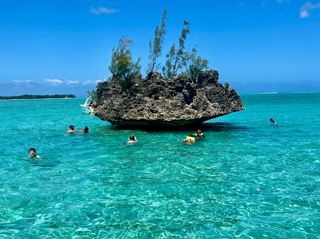 Dauphine Tours Mauritius-大湾必去景点