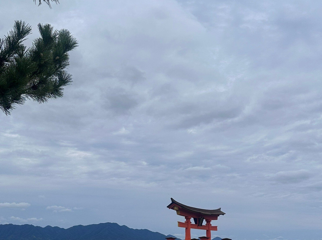 Virage Travel-波哥大必去景点