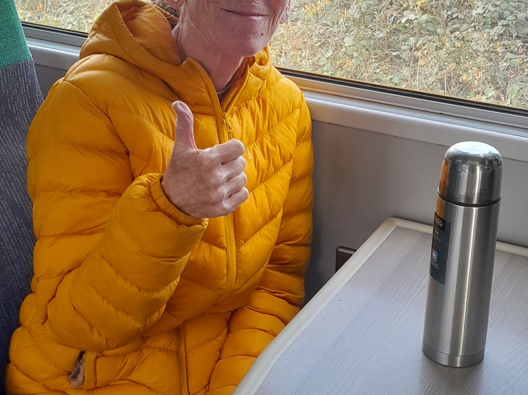 Looe Valley Line-利斯卡德必去景点