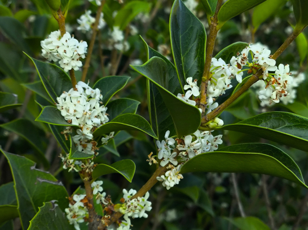 Santar Vila Jardim-Santar必去景点